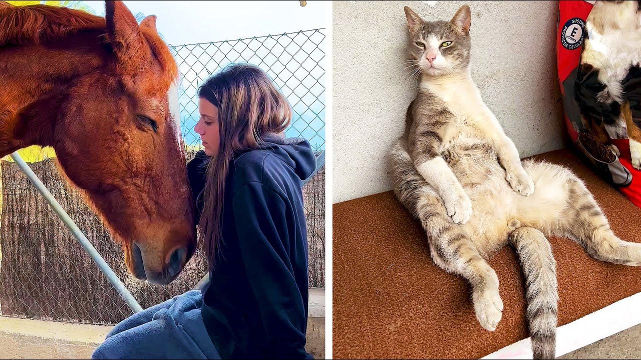 Embedded thumbnail for Die besten Videos 2024 (Teil 27) || ✪ Stern DuTube - Ungewöhnliche Momente entdecken