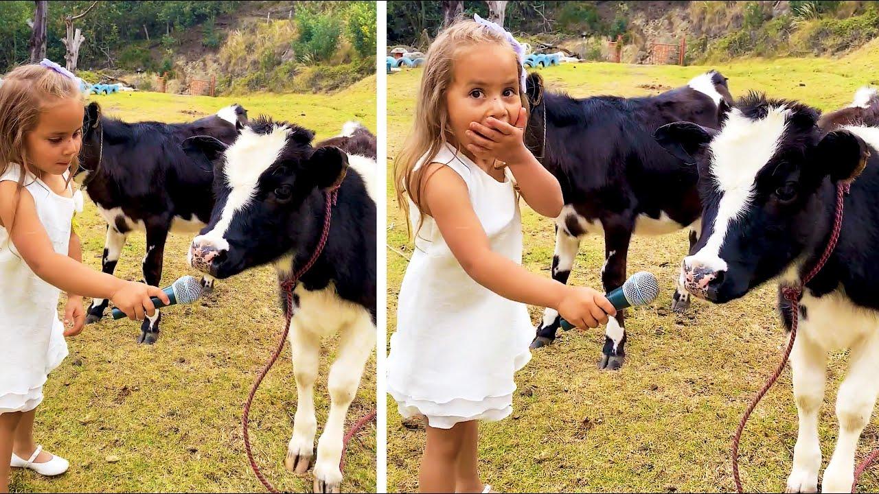 Embedded thumbnail for Die besten Videos 2024 (Teil 24) || ✪ Stern DuTube - Haustier-Humor 2025