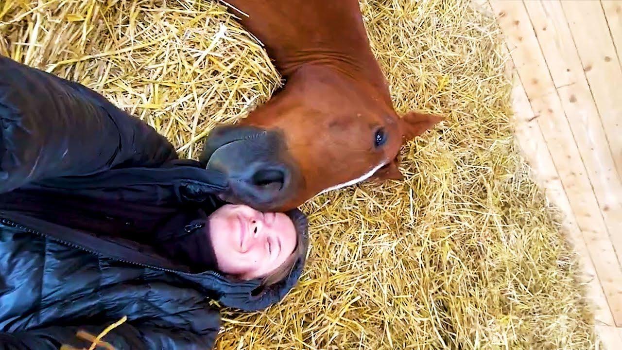 Embedded thumbnail for The Best Videos of All Time Part 45 Featuring Hilarious Cat Videos You Can't Miss