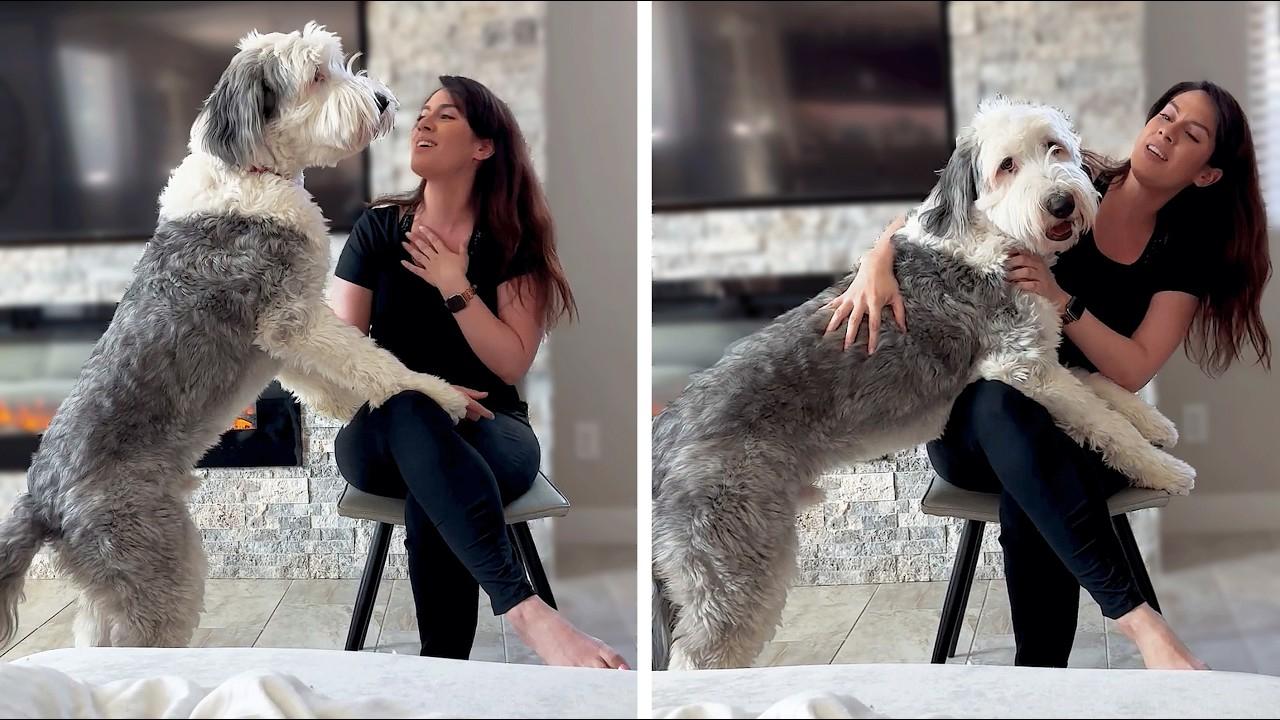 Embedded thumbnail for The Best Videos of All Time #75 | Epic and Funny Compilation You Can't Miss