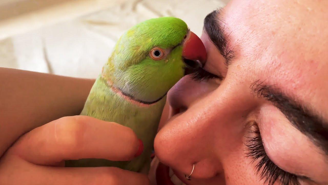 Embedded thumbnail for Die besten Videos 2023 Teil 108 || ✪ Stern DuTube - Lustige Tierblunders und witzige Momente